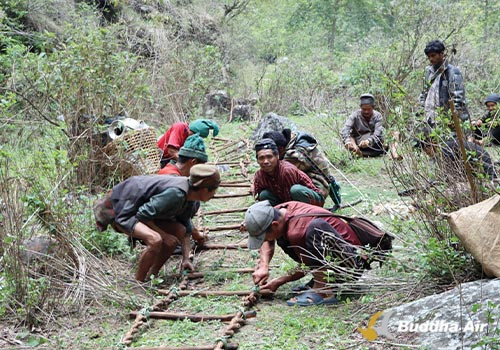 Ladder for Honey hunting